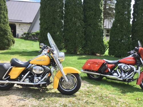 Our Harleys 